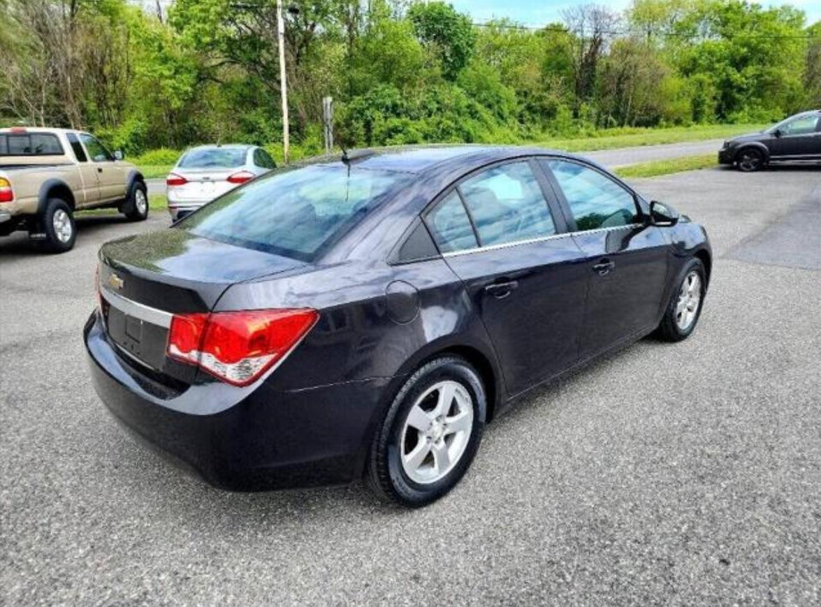 WhatsApp Image 2024-08-18 at 5.29.59 PM (2)